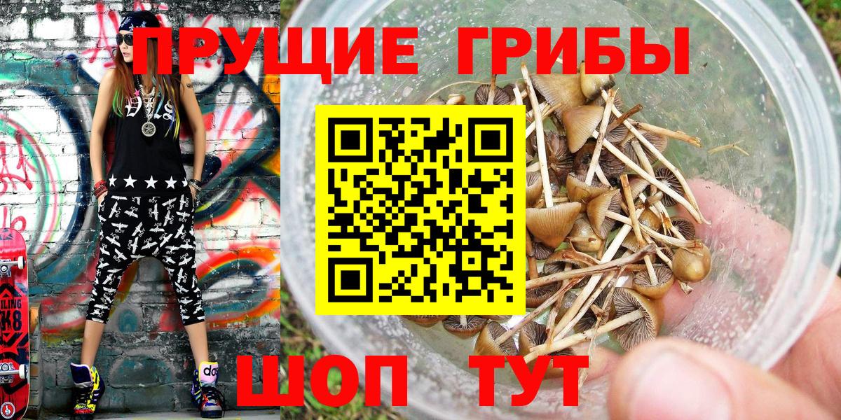 Псилоцибиновые грибы Cubensis  Галлюциногенные грибы Cubensis  Югорск  Вход с VPN 