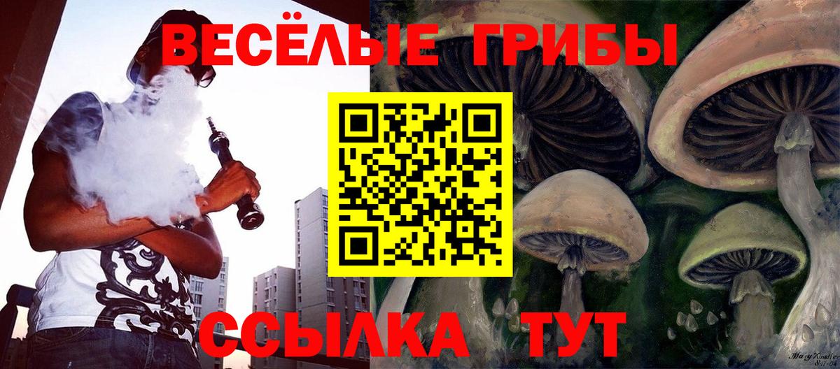 Галлюциногенные грибы Psilocybe Югорск